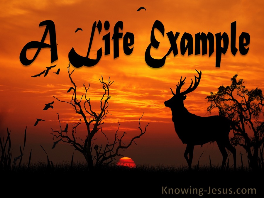 A Life Example (devotional)09-21 (orange)